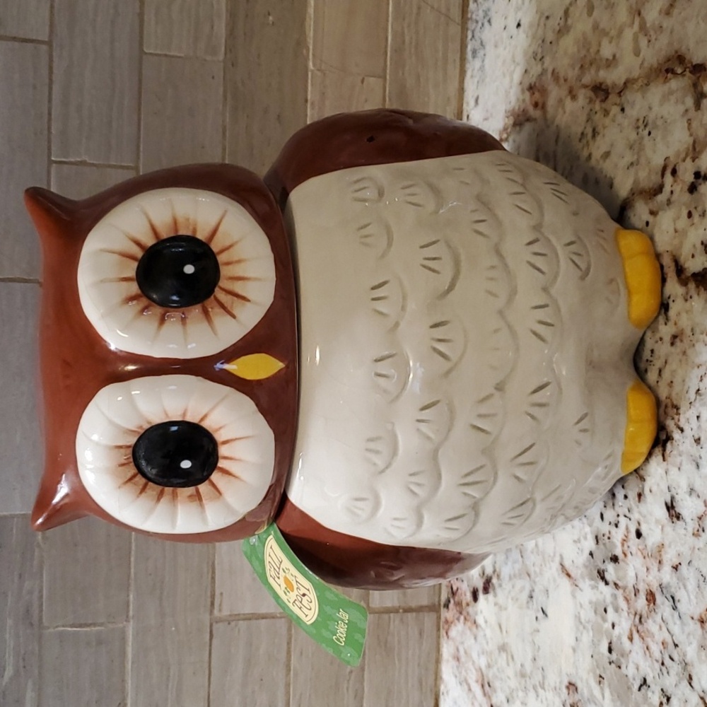 Owl Ceramic Snack Cookie Jar 7.5"